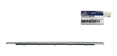 Moldura externa de puerta trasera izquierda Hyundai I30 2013-2017
