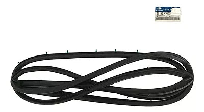 Burlete de puerta delantera lado izquierdo Hyundai H100