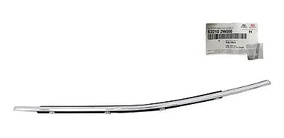 Moldura exterior de puerta trasera izquierda para Santa Fe