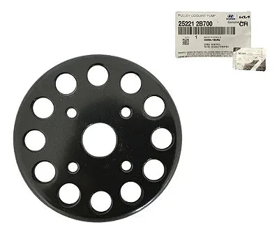 Polea Bomba de Agua Hyundai Santa Fe 2009/2012